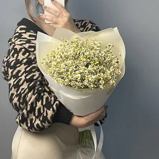 Букет ромашек M