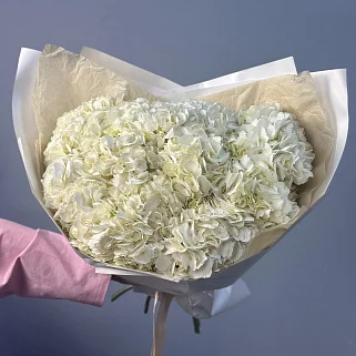 Букет из 11 белых гортензий