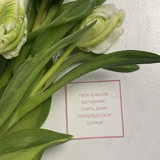 Открытка "Твоя красота"