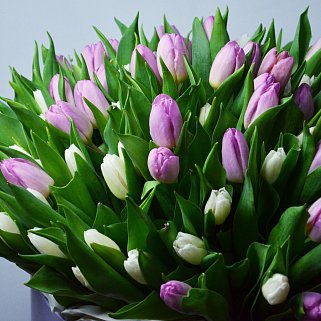 Букет из 101 тюльпана в шляпной коробке