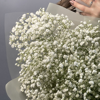 Букет из 25 веточек гипсофилы