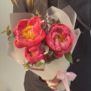 Букет из 3 пионов Coral Sunset и эвкалипта