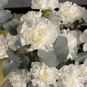 Букет в шляпной коробке из 35 белых гвоздик