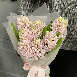 Букет из 7 розовых гиацинтов