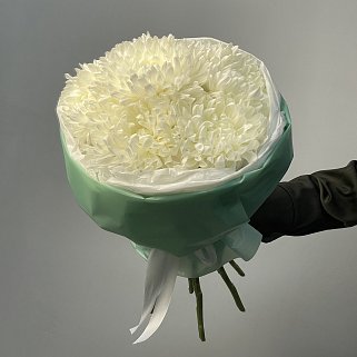 Букет из 7 белых хризантем