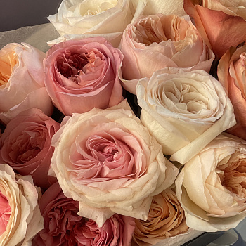 Букет пионовидных роз (микс)