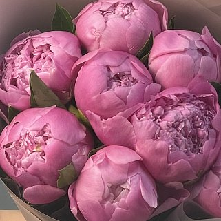 Букет из 9 ярко-розовых пионов