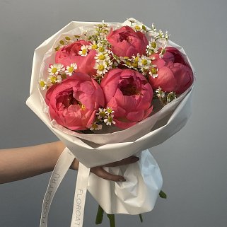 Букет из 5 пионов Coral Sunset и матрикарии