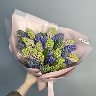 Букет из 25 гиацинтов (микс)