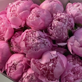 Букет из 15 ярко-розовых пионов