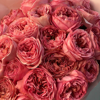 Букет пионовидных роз Pink Expression L