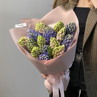 Букет из 15 гиацинтов (микс)