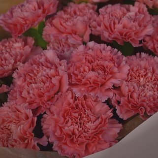 Букет из 21 розовой гвоздики