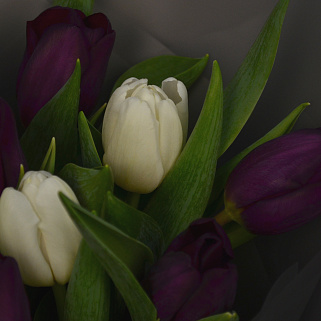 Букет из 15 тюльпанов (микс)