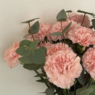 Интерьерный букет из 15 розовых гвоздик и эвкалипта