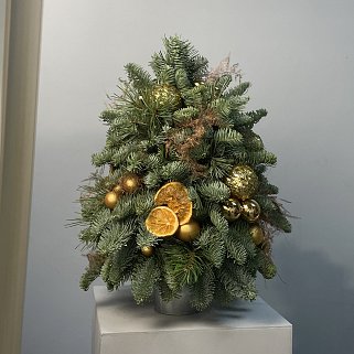 Золотая ёлочка