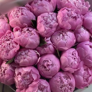 Букет из 25 ярко-розовых пионов