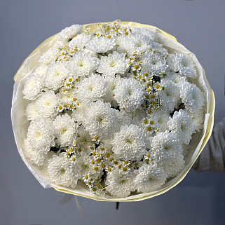 Дуо-букет хризантем Baltica и матрикарии M