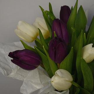 Букет из 15 тюльпанов (микс) в шляпной коробке