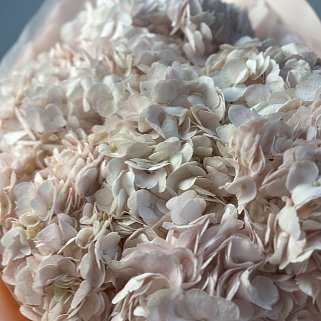 Букет из 7 розовых гортензий