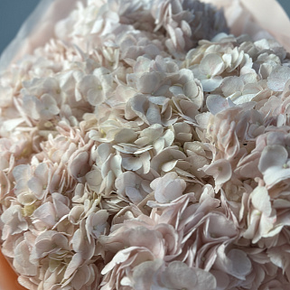 Букет из 7 розовых гортензий