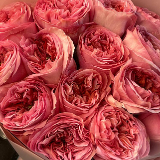 Букет пионовидных роз Pink Expression М