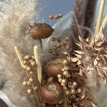 Букет сухоцветов Какао