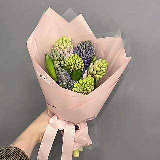 Букет из 7 гиацинтов (микс)