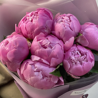 Букет из 7 ярко-розовых пионов