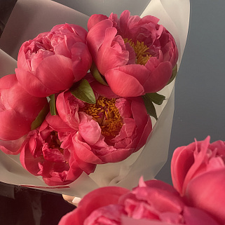 Букет из 5 пионов Coral Sunset