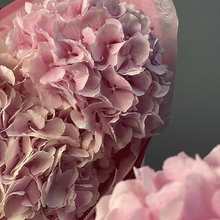Букет из 3 розовых гортензий