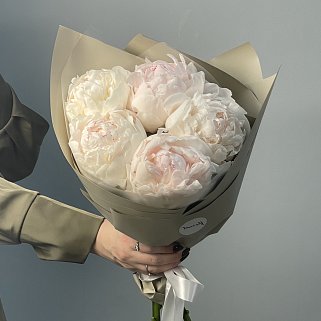 Букет из 5 белых пионов