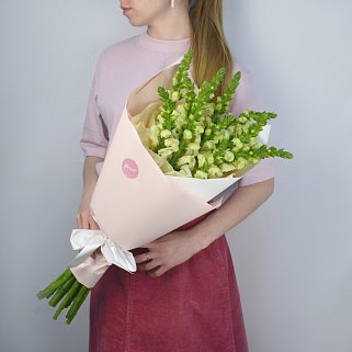 Букет из 11 антирринумов