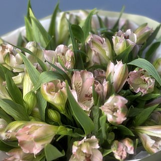 Букет из 9 розовых альстромерий