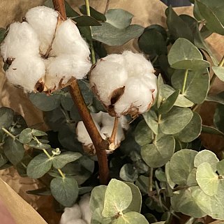 Букет из хлопка и эвкалипта M