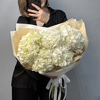 Букет из 5 белых гортензий