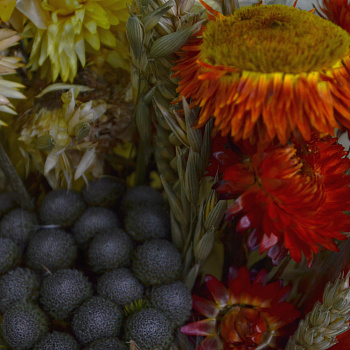 Букет сухоцветов Теплый солнечный