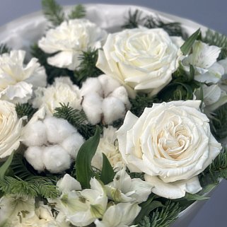 Котобукет S (подробности акции внутри)