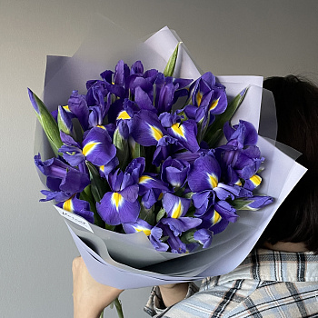 Букет из 25 ирисов