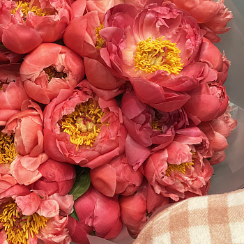 Букет из 101 пиона Coral Sunset