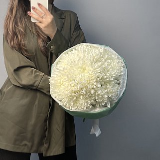Букет из 7 белых хризантем
