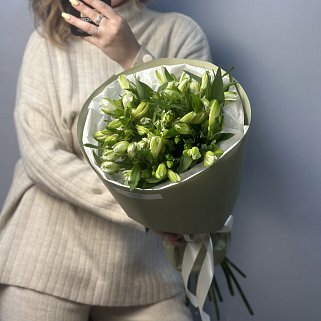 Букет из 11 белых альстромерий