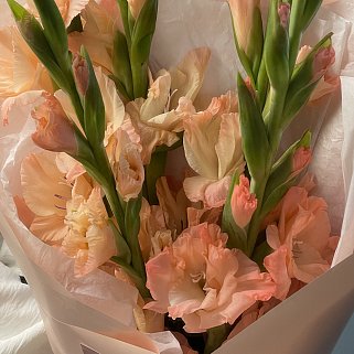 Букет из 5 персиковых гладиолусов