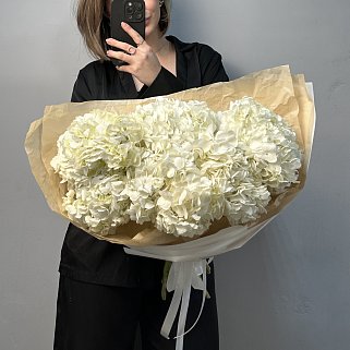 Букет из 7 белых гортензий