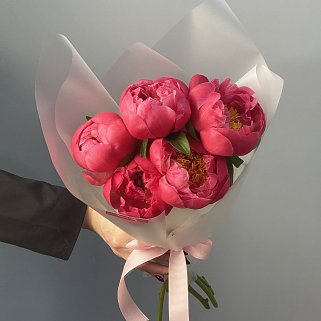 Букет из 5 пионов Coral Sunset