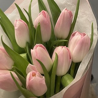 Букет из 9 розовых тюльпанов