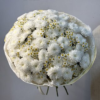 Дуо-букет хризантем Baltica и матрикарии L