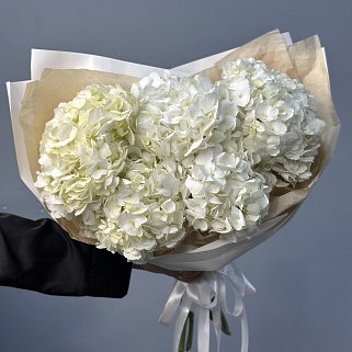 Букет из 5 белых гортензий