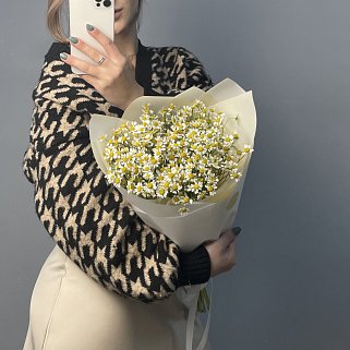 Букет ромашек S