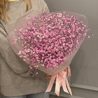 Букет из 9 веточек розовой гипсофилы